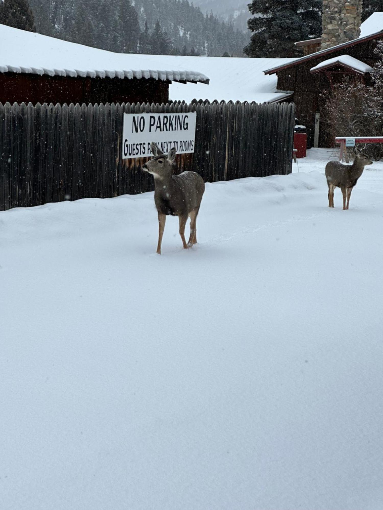 Deer Lodge Red River Eksteriør billede